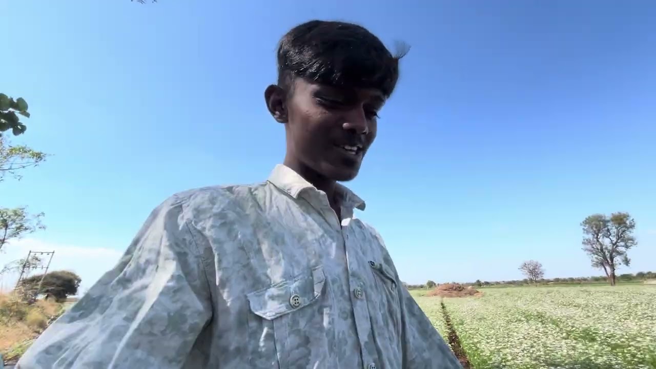 આજે ધાણા માં પાણી વારીનાખું ને ભર બાર કાઢીનાખા 