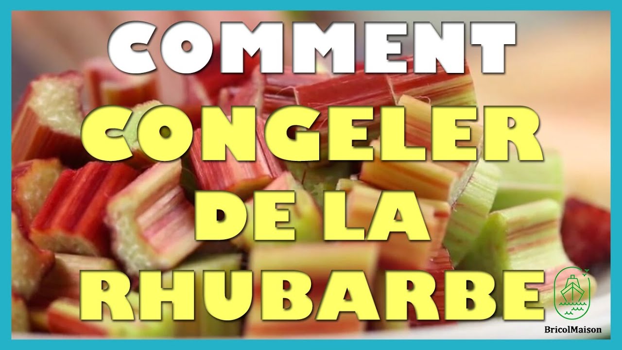 Comment congeler de la rhubarbe
