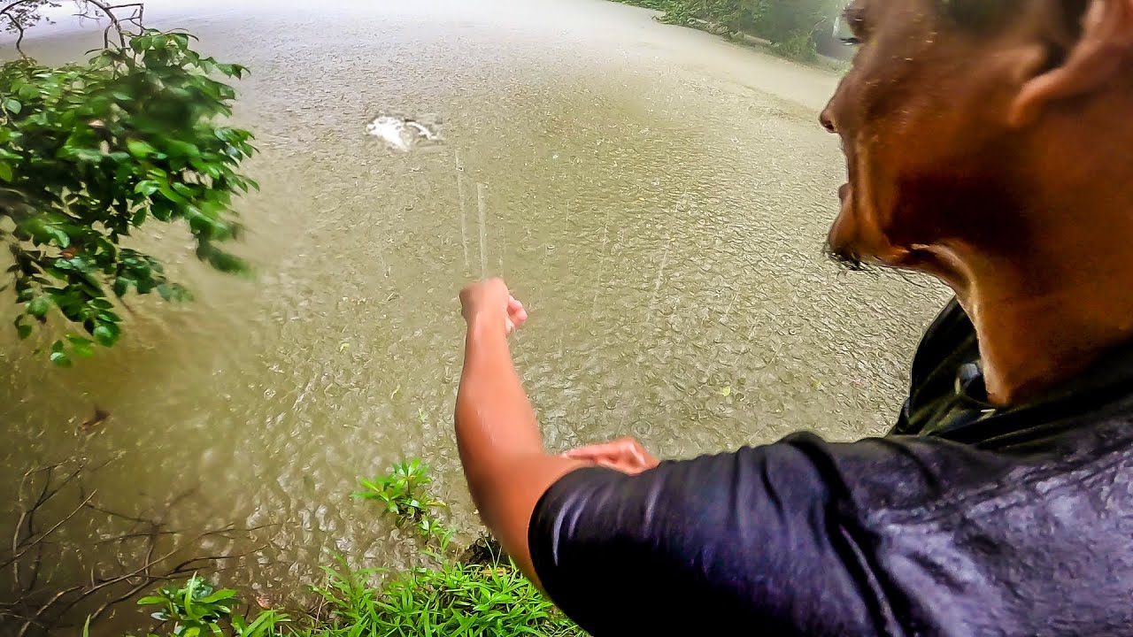 Pesca Con Anzuelo La Lluvia Nos Dio Una Buena Pesca y Cocina
