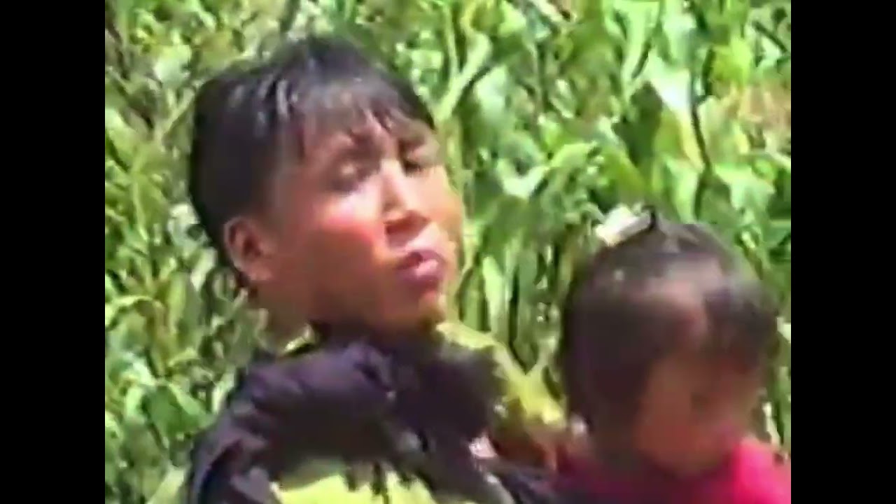 Mao Love Song . Oraphro