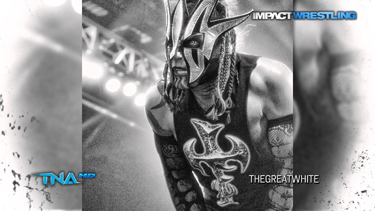 2014: Willow (Jeff Hardy) 14th & New TNA Theme Song - 
