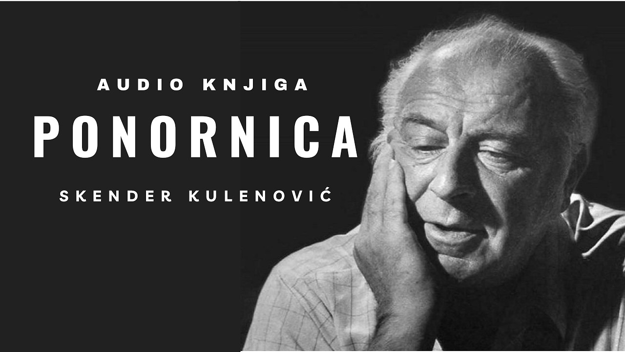 Audio knjiga: Ponornica | Skender Kulenović | 6. dio