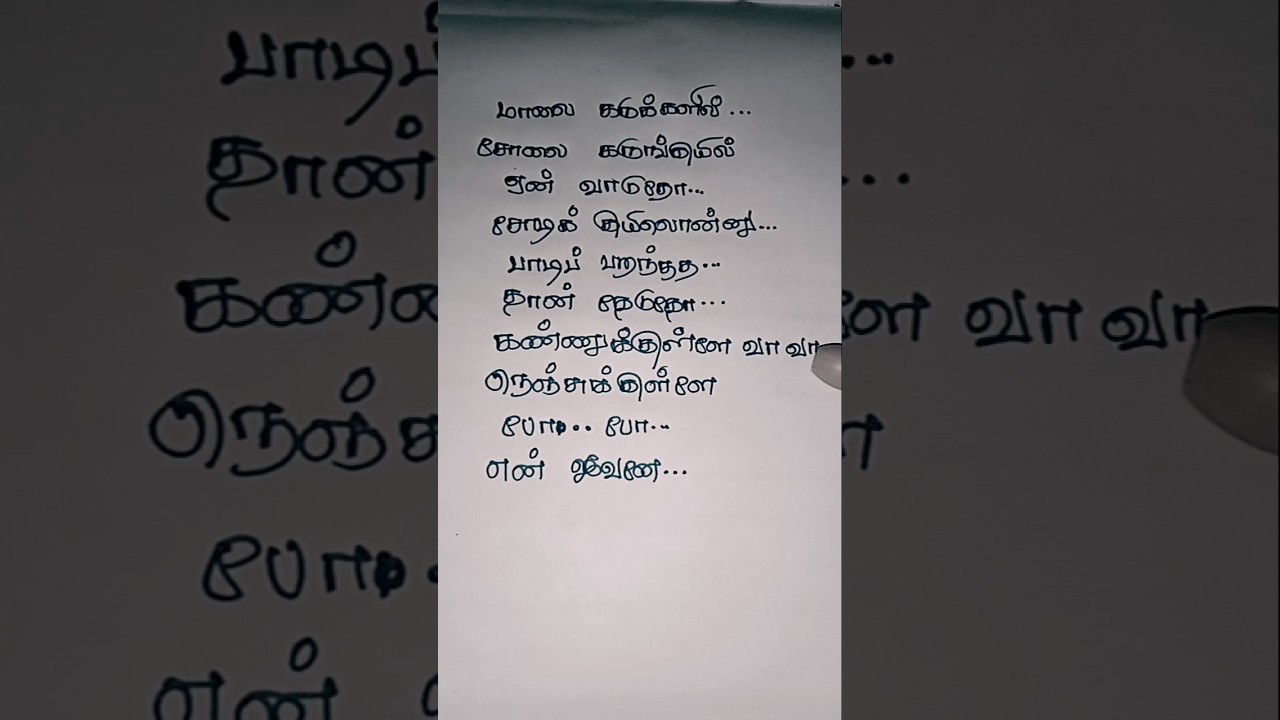 🌫️மாலை கருக்களில் sollai 