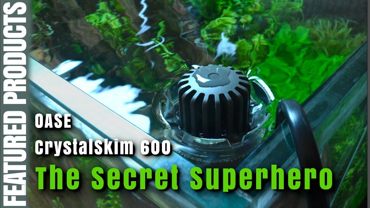 Why use surface skimmers in planted aquarium| OASE CrystalSkim 600 unboxing and installation