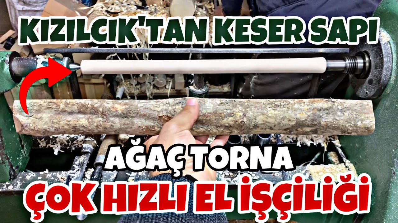KIZILCIKTAN KESER SAPI 2 DAKİKADA AĞAÇ TORNA