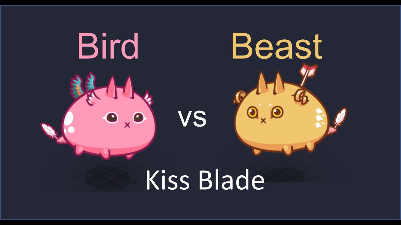Suicide Bird vs Suicide Beast | Road to 3000 MMR