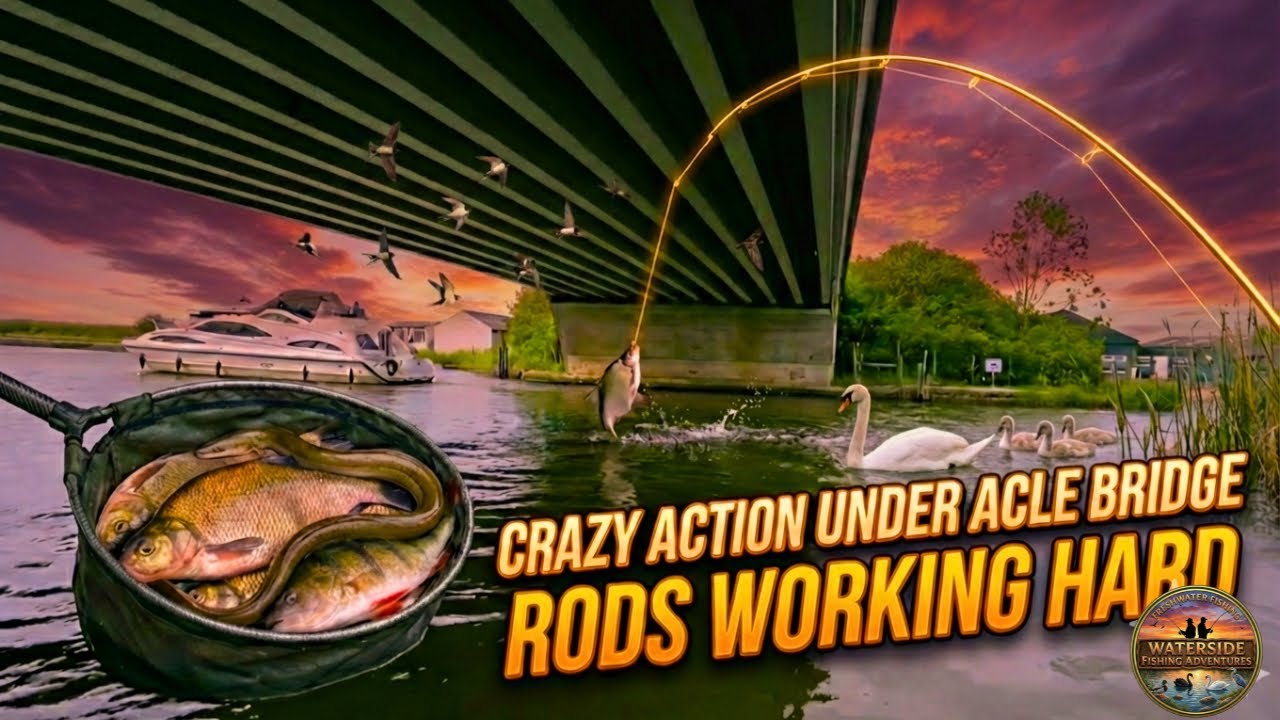 FISHING UNDER ACLE BRIDGE 🛶🎣 | The Ultimate River Bure Test! (Big Mixed Bag)