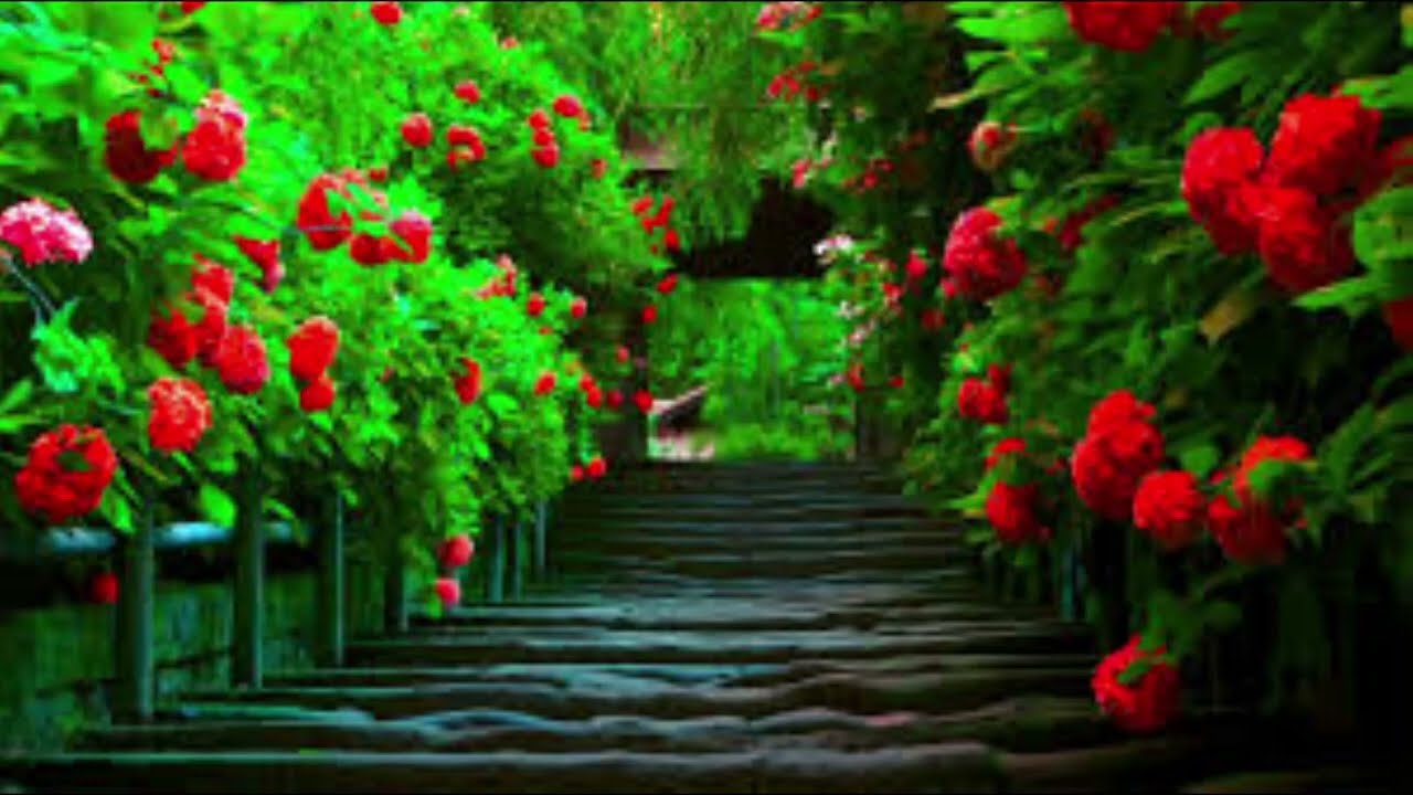 GÜZEL MANZARA FOTOĞRAFLARI / GÜZEL MANZARA FOTOĞRAFLARI - #manzara #fotograf  #güzelmanzara