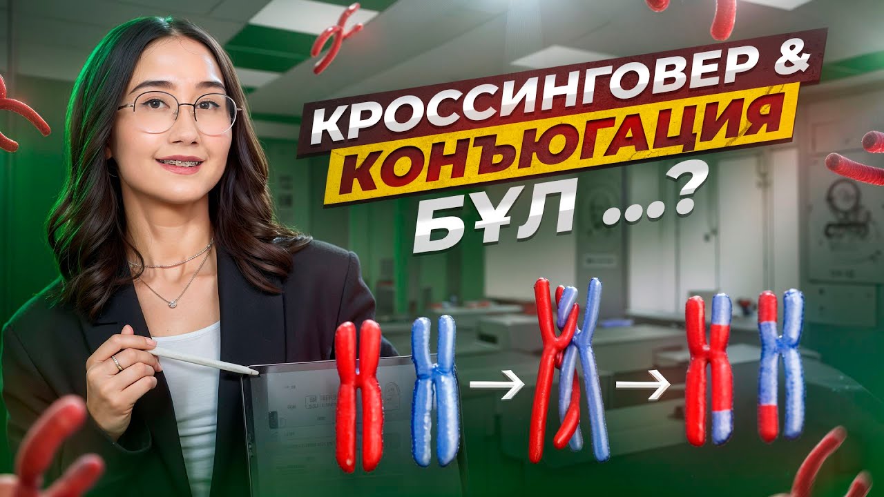 Кроссинговер & конъюгация - бұл …? | ҰБТ Биология