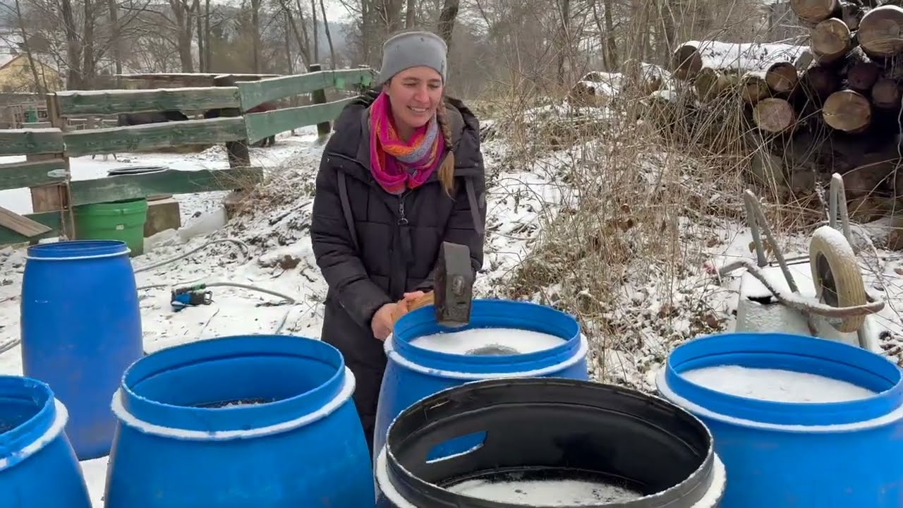 Winter im Offenstall - remixed - better sound Quality