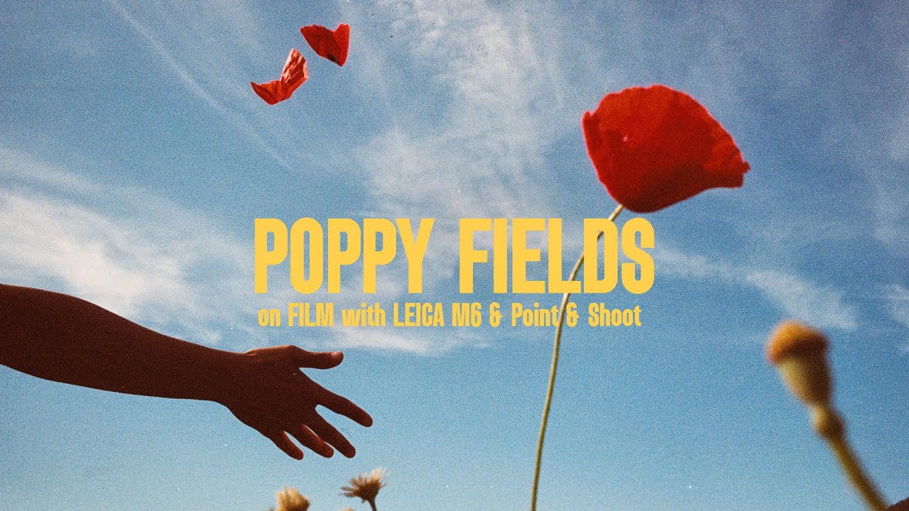 Poppy Fields on 