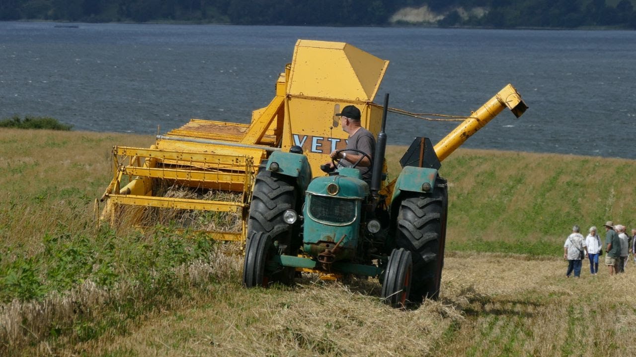 VINTAGE HARVEST DAY 2025 At Herregården Hessel - Vintage Harvest 2025