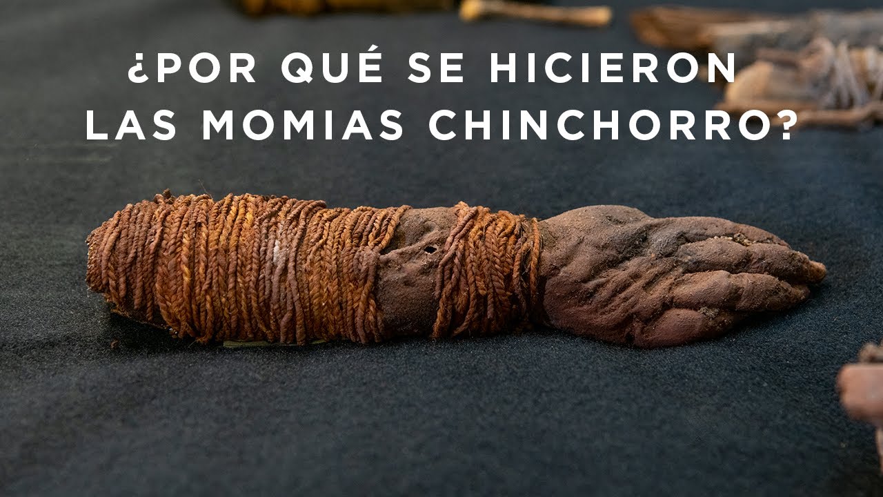 ¿Por qué se hicieron las momias Chinchorro? | TRÁFICO ILÍCITO