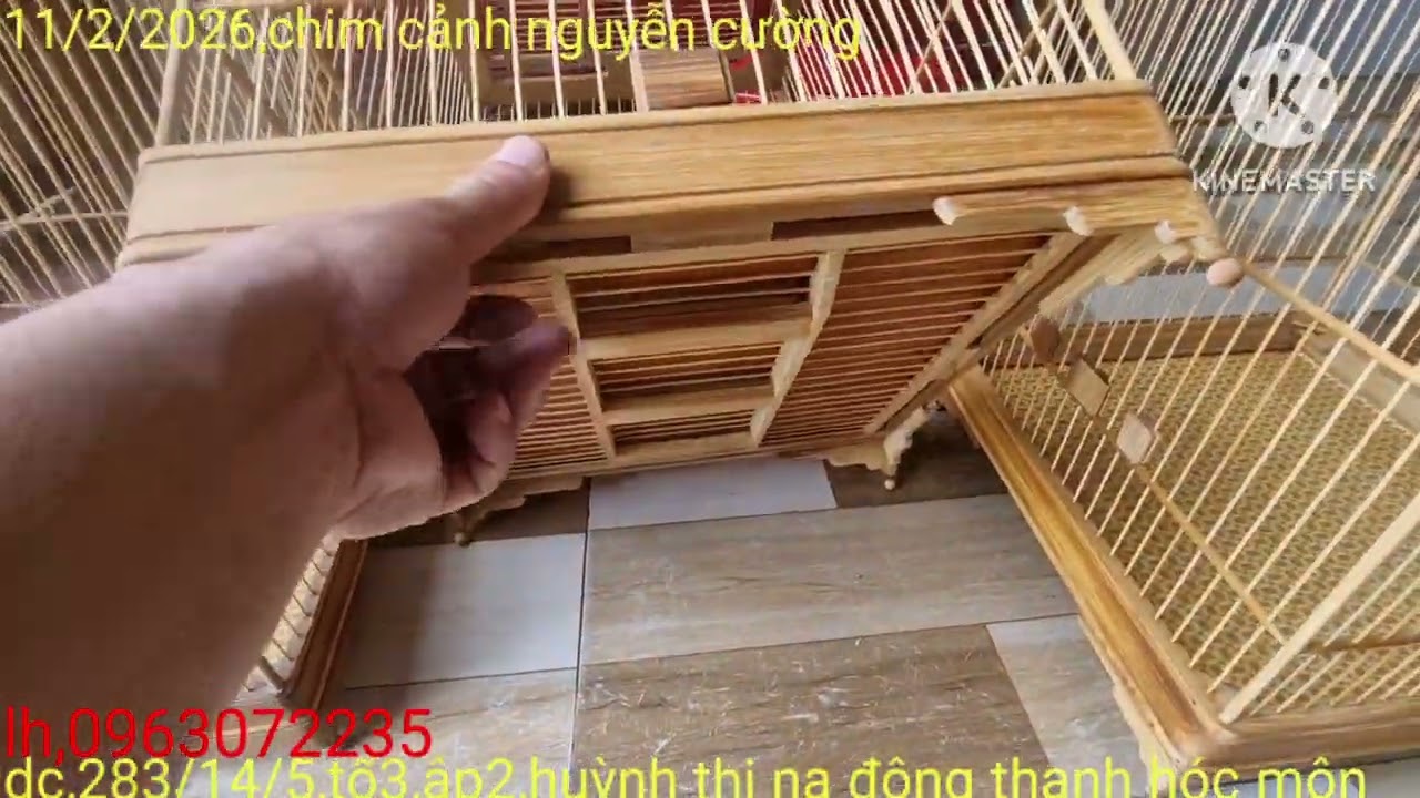 Còn lồng Chào mào tre đẹp 800k