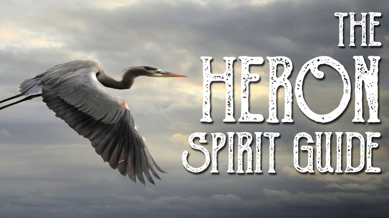 Heron Spirit Guide - Ask the Spirit Guides Oracle - Totem Animal, Power Animal - Magical Crafting