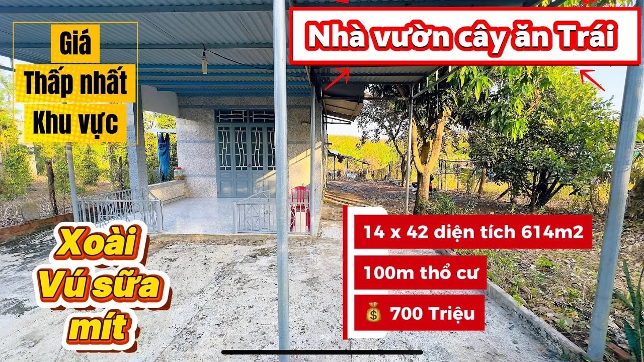 🔥 HÀNG HIẾM! NHÀ VƯỜN CÂY ĂN TRÁI 3PN – MẶT ĐƯỜNG NHỰA MỚI MỞ RỘNG – THỔ CƯ ĐẦY ĐỦ!