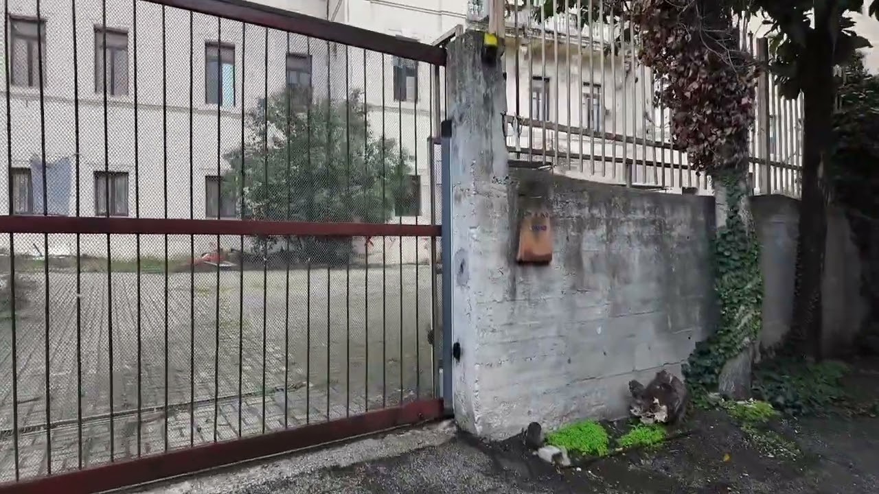 DELFICO / Ecco da dove entrano gli abusivi 