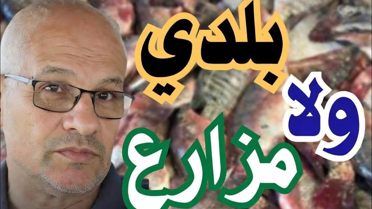 قبل ما تشتري السمك… الفيديو ده هيوفر فلوسك.. ٥ أسرار تفضح سمك المزارع في ثواني