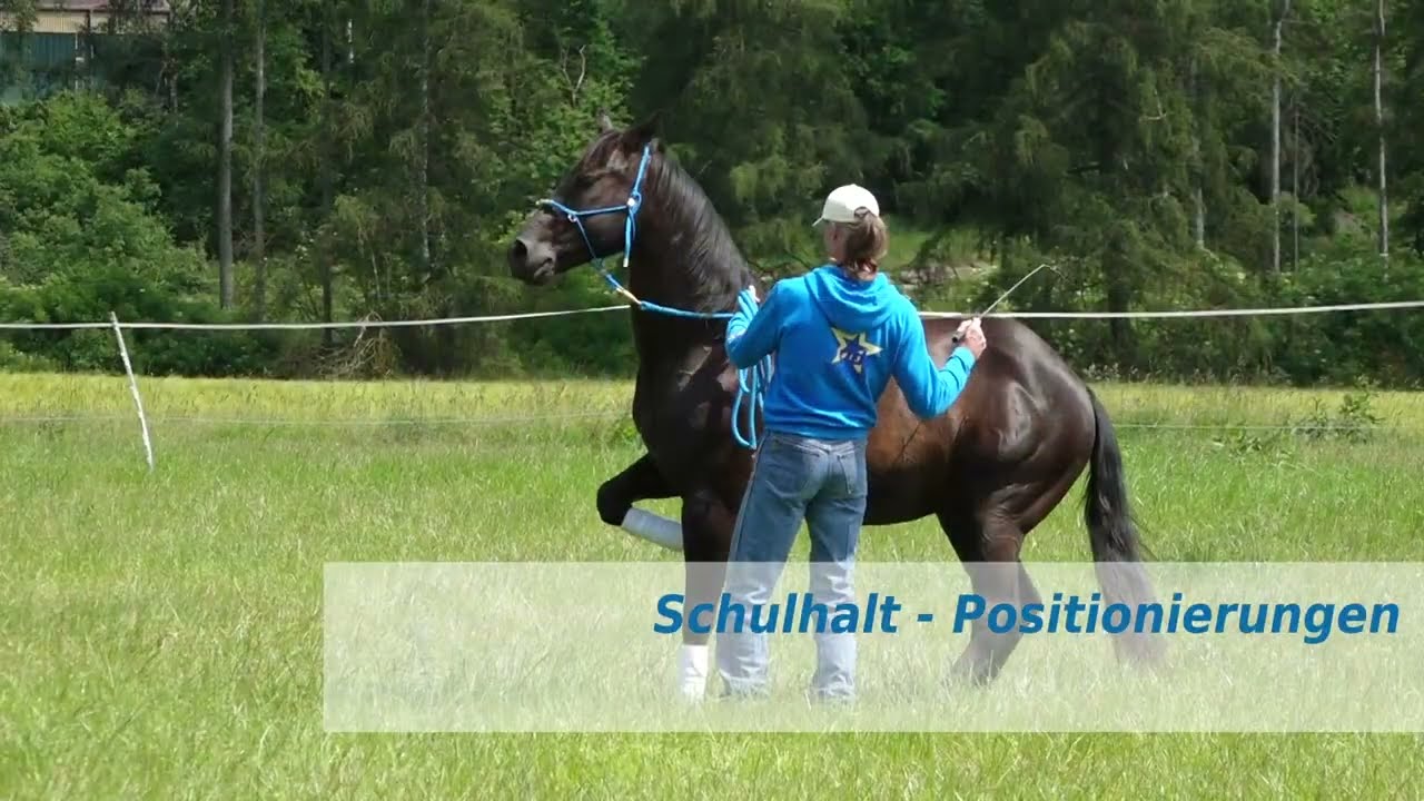 TRAILER Lehrserie "Seilarbeit Intermediate"