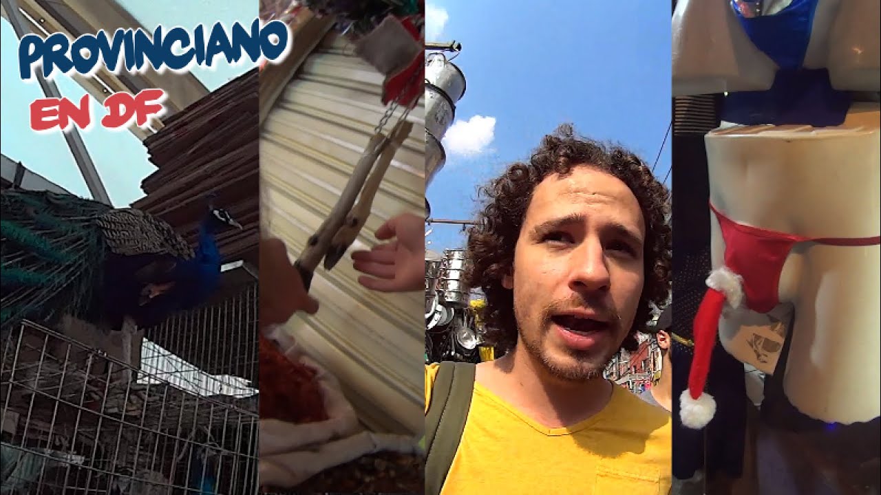 Aves Exóticas y Brujería en el Mercado | Provinciano en DF