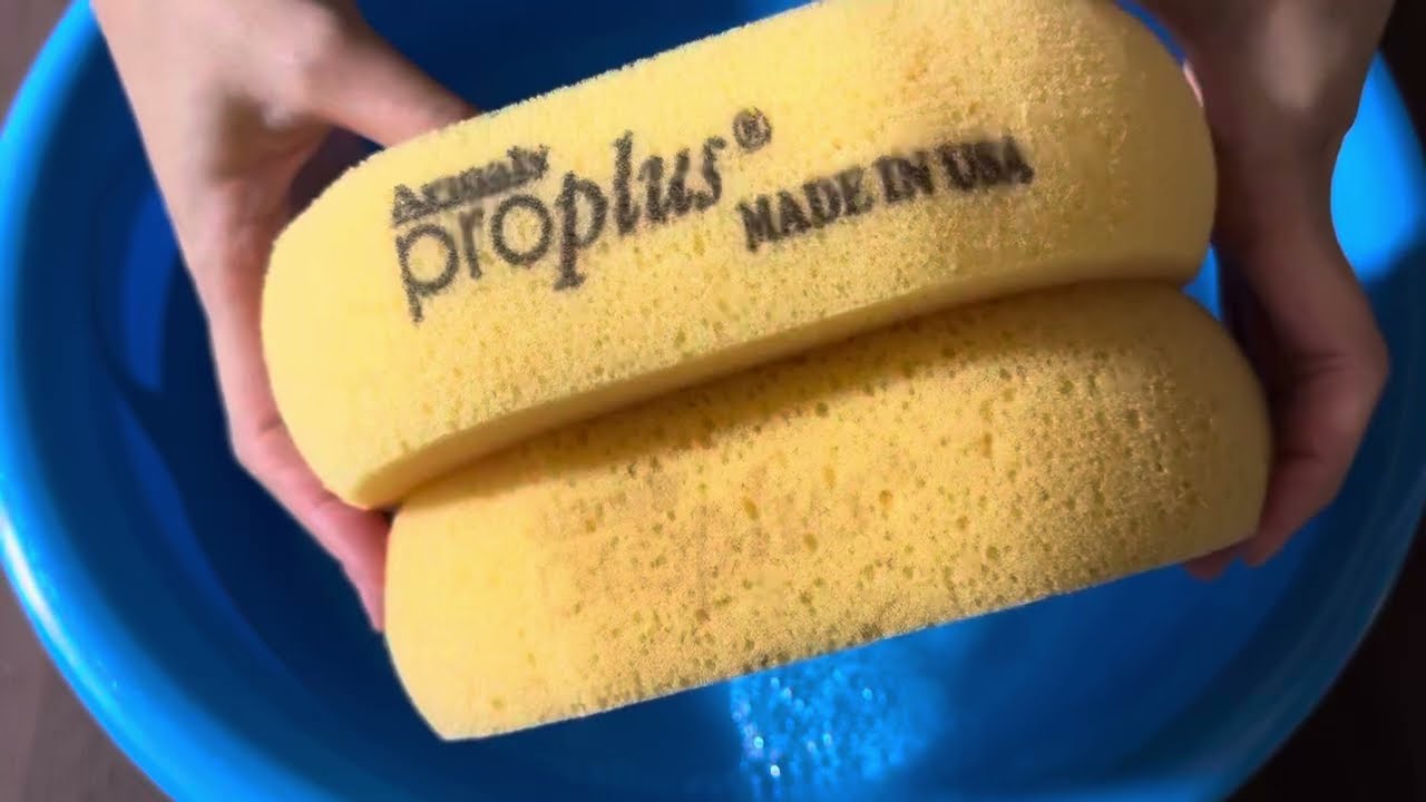 【ASMR】Proplus oval sponge💛fluffy squeeze💛💛プロプラス楕円スポンジで泡遊び💛💛