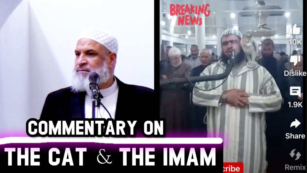 Cat reacts to Imam reciting Quran & why this sparked the interest of NonMuslims | Sh. Karim AbuZaid