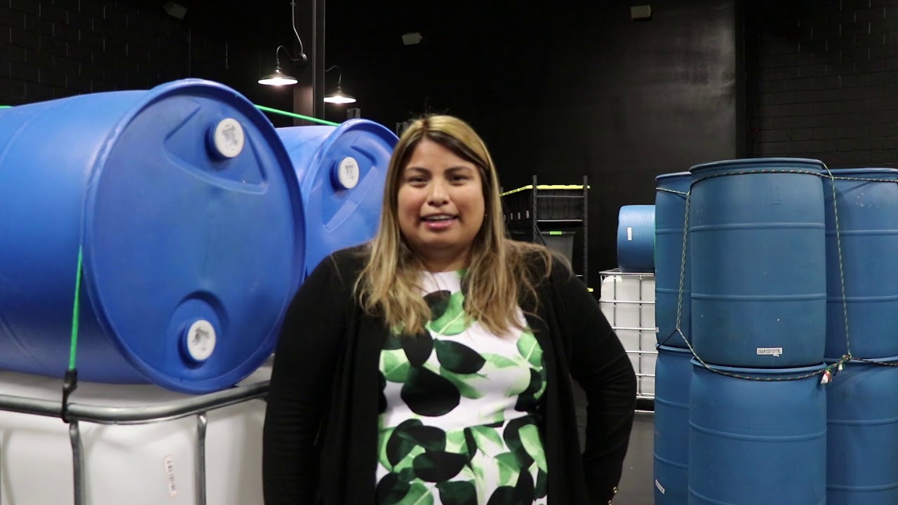 Team Tactics offers unique twists to laser tag in Woodbridge