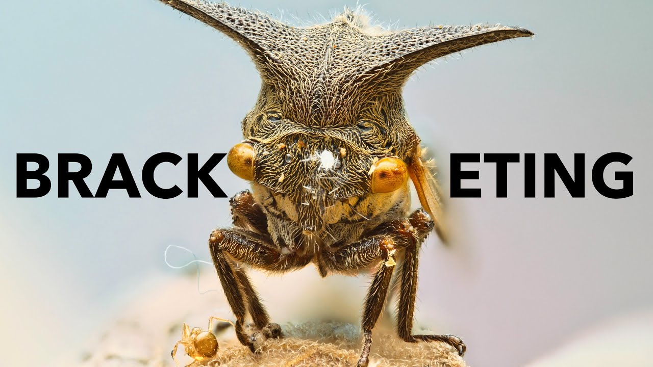 How to focus BRACKETING with a MANUAL lens