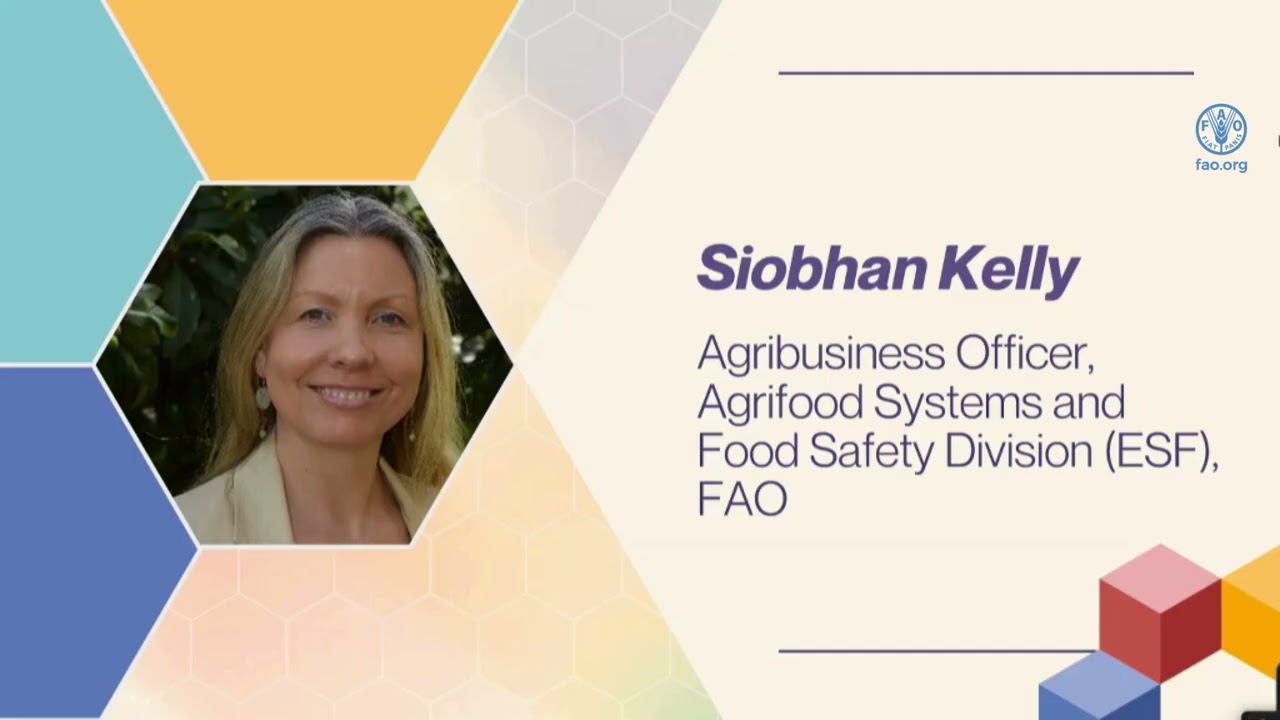 A Systems Approach to Achieving Food Security for All | FAO Event