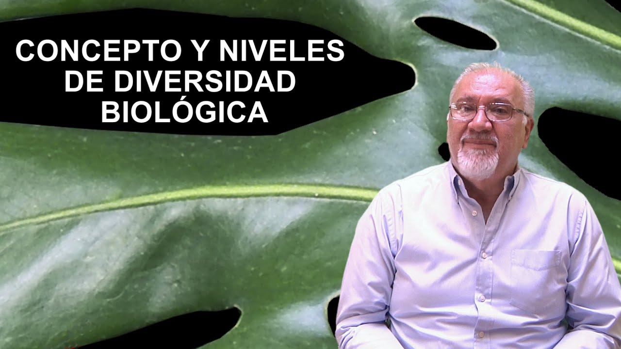 Biología: Concepto y niveles de diversidad biológica