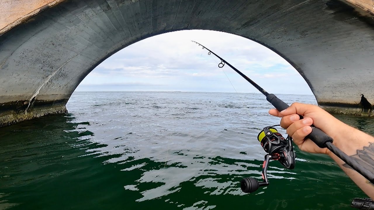 Florida Keys Bridge Fishing - Crushed My LIVE Baits + Hot Jig Action