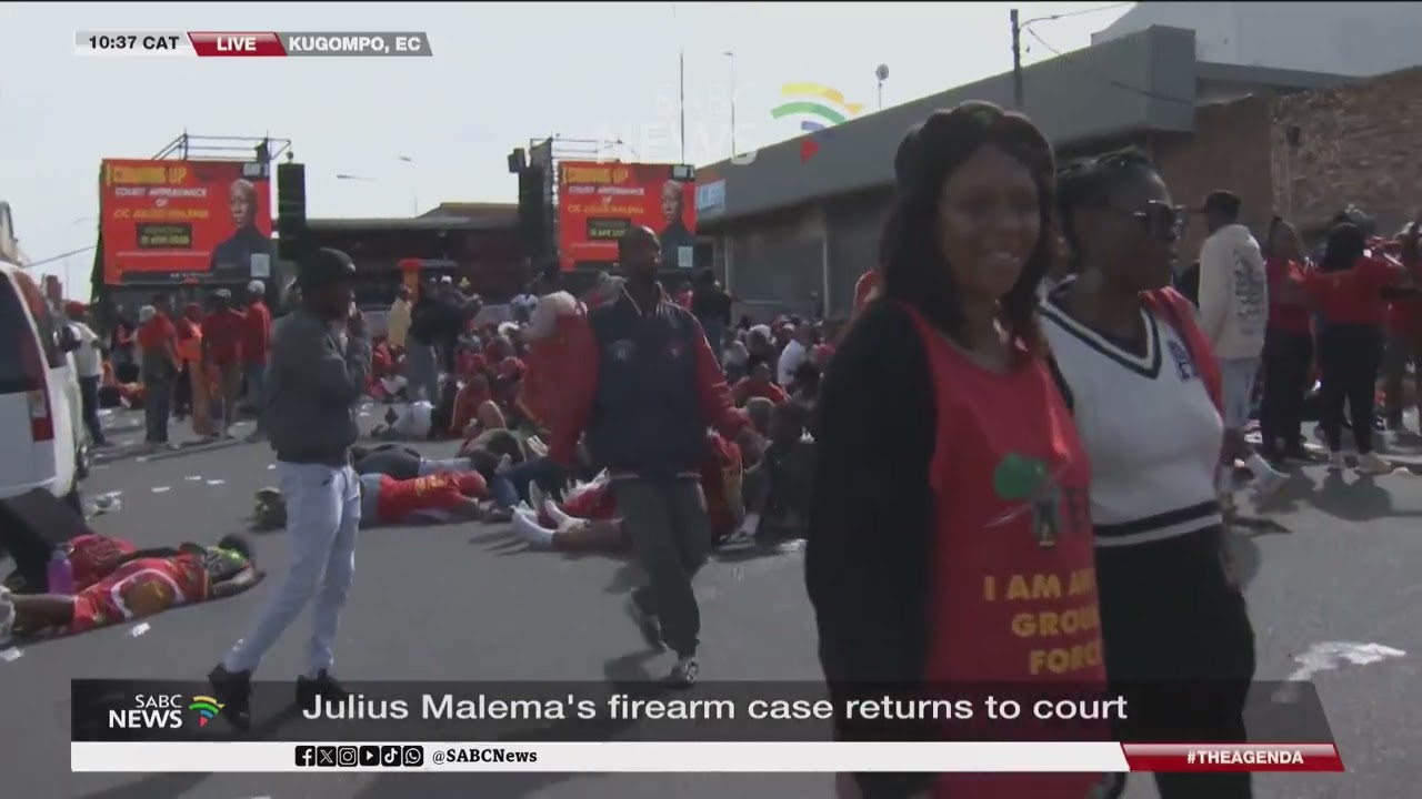 Malema Firearm Case | EFF supporters picket outside East London Magistrate's Court