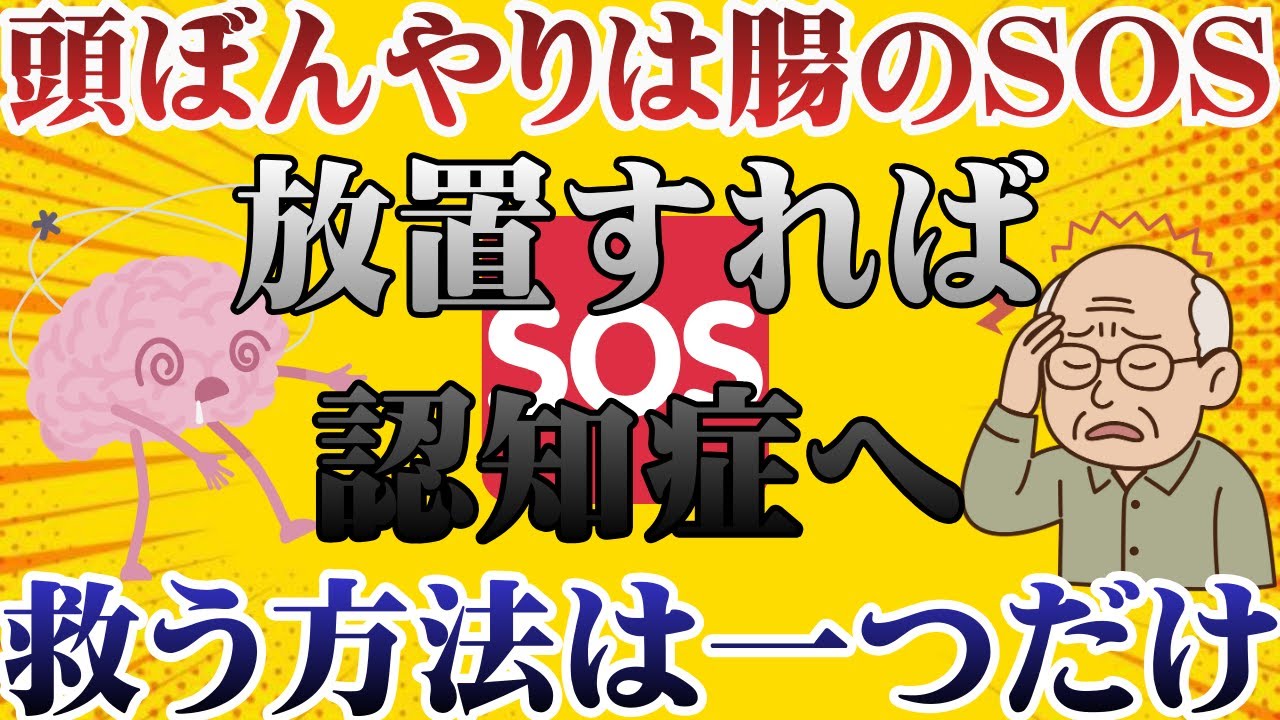 【絶対見て】頭ぼんやりは腸のSOS｜セロトニン90%は腸で作られる｜藤田医師解説