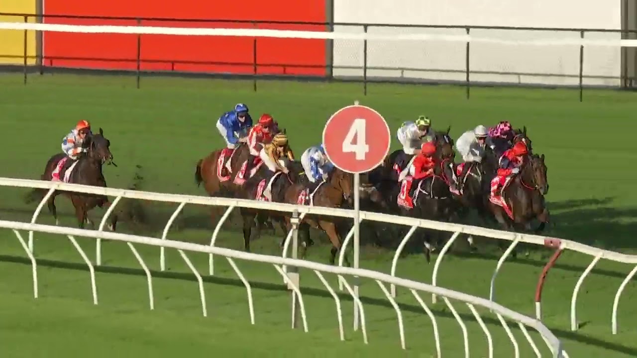 Doomben 10,000 2025 - SUNSHINE IN PARIS (3YO+ WFA G1) Group 1 Doomben 17 May
