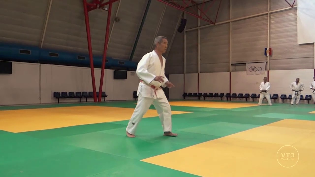Hiroshi KATANISHI Toulouse 2017 (1/3)