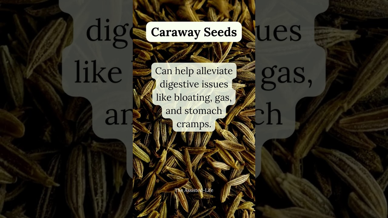 Caraway Seed Spice Benefits
