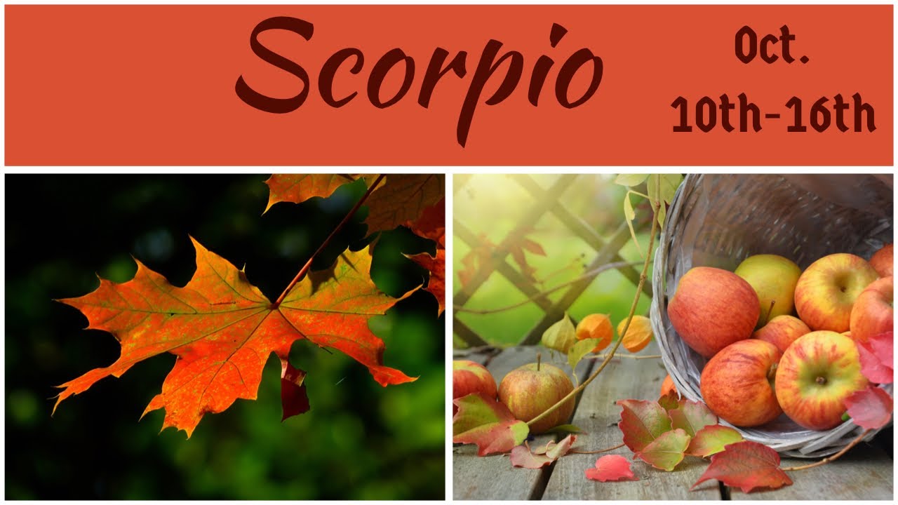 Scorpio:  Oct. 10th-16th  