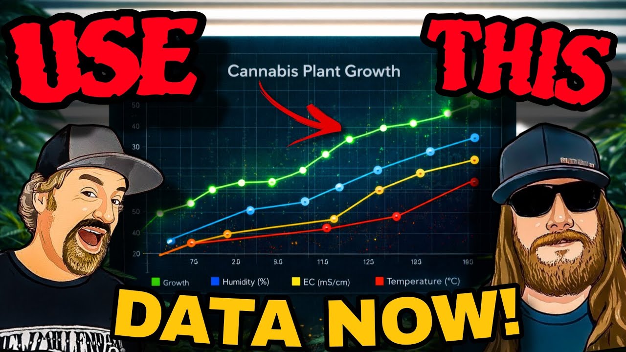 The Most Powerful Yield Upgrade Is Already in Your Grow (How To Collect It)