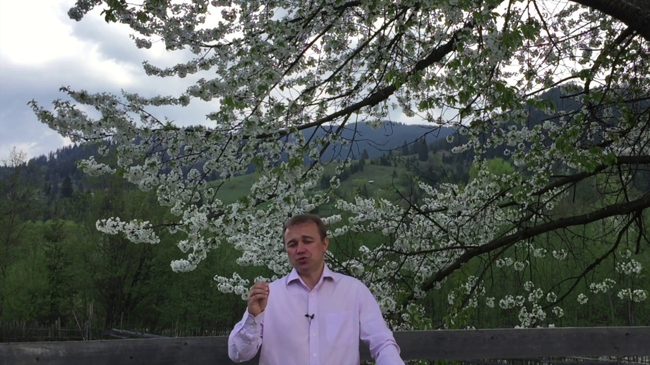 Ce ne impiedica sa ne marturisim pacatele? - Vlad Breana