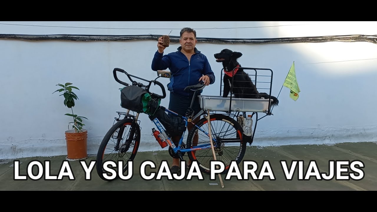 CAJA PARA VIAJES CON PERROS en Bicicleta. Hecho en casa.