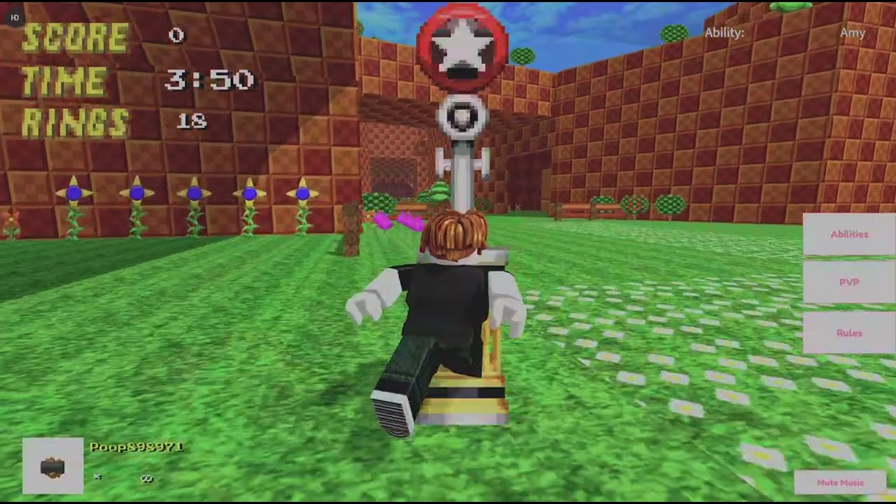 Sonic
