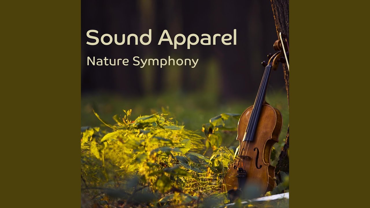 Nature Symphony (Long Orchestral Trance Mix)
