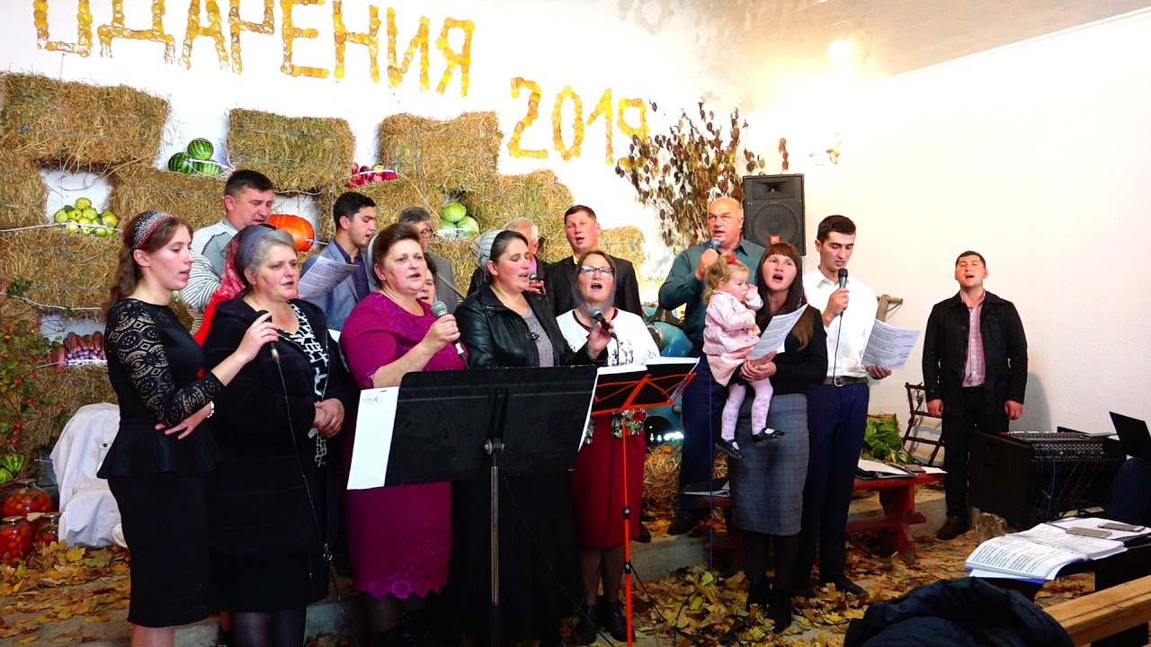 Без пятна и порока