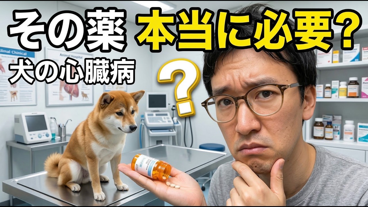 犬の僧帽弁閉鎖不全症「B2だから薬」は危険？見落とされがちな判断基準