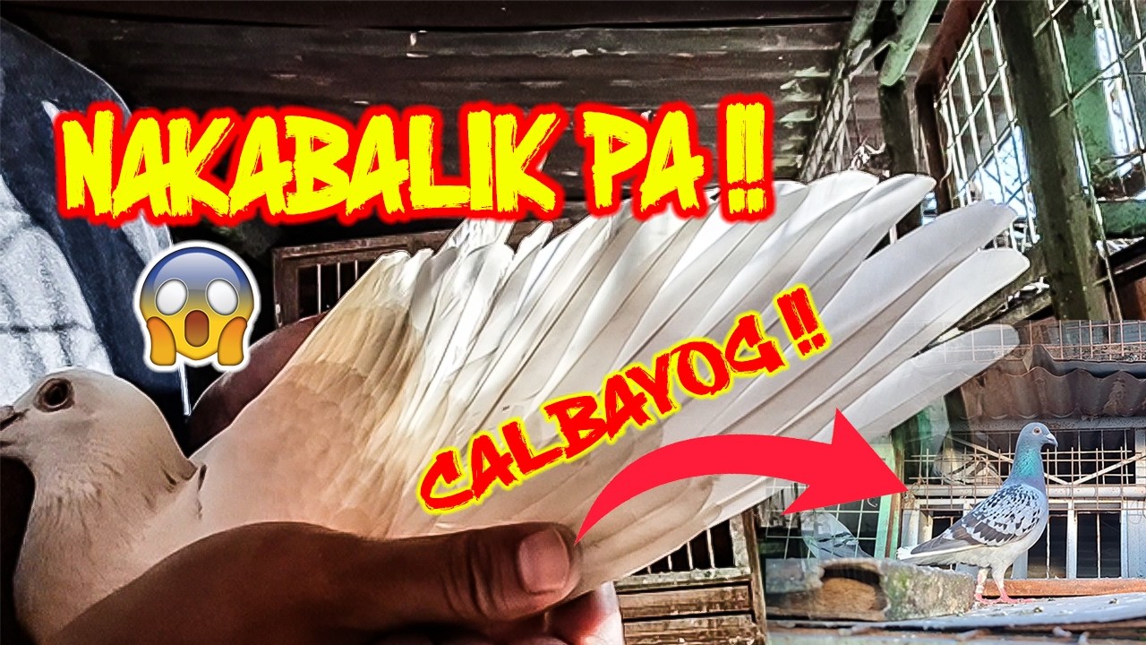 NAGBABALIKAN PA !!