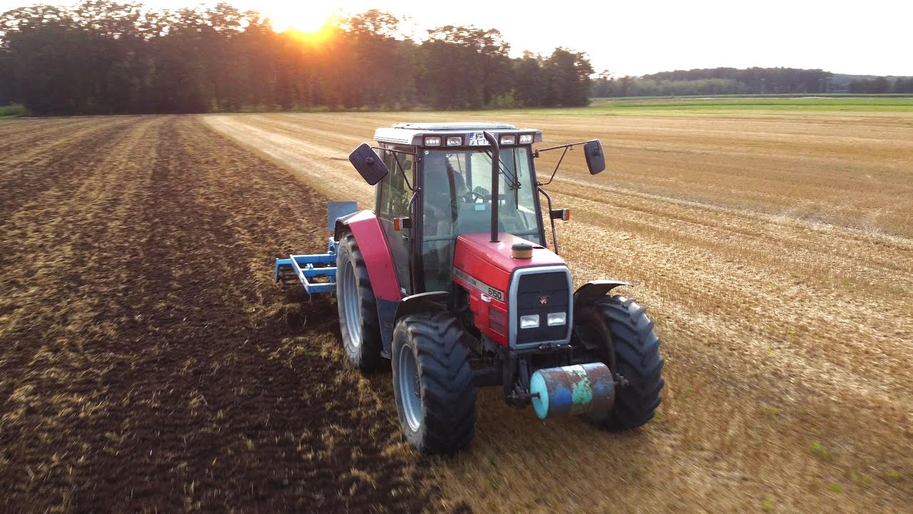 Stoppelsturtz 2024 / Massey Ferguson 6150 im Sonnenuntergang