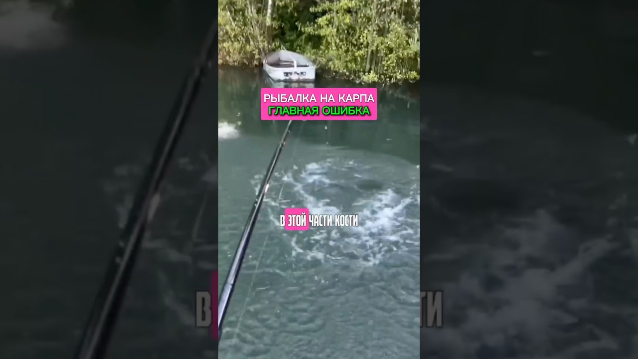 НЕ ДЕЛАЙ ЭТУ ОШИБКУ в рыбалке на карпа #карпфишинг