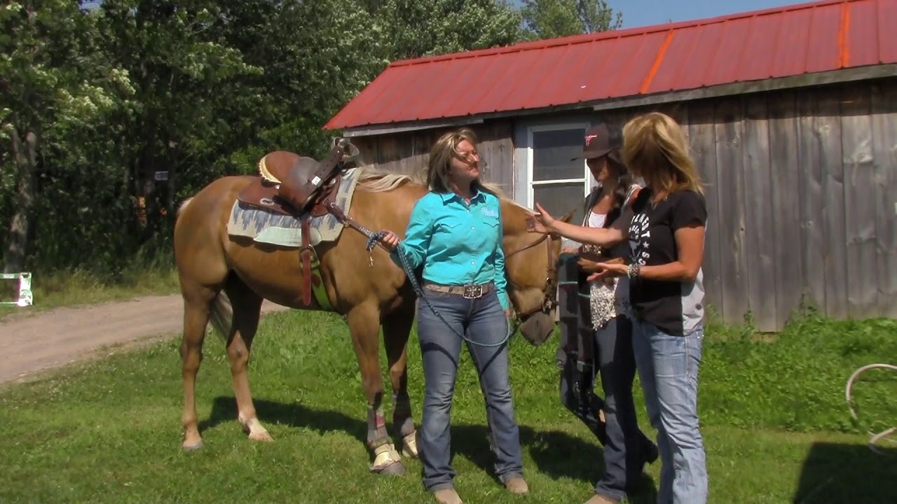 DES SANGLES POUR LE CONFORT DE VOS CHEVAUX