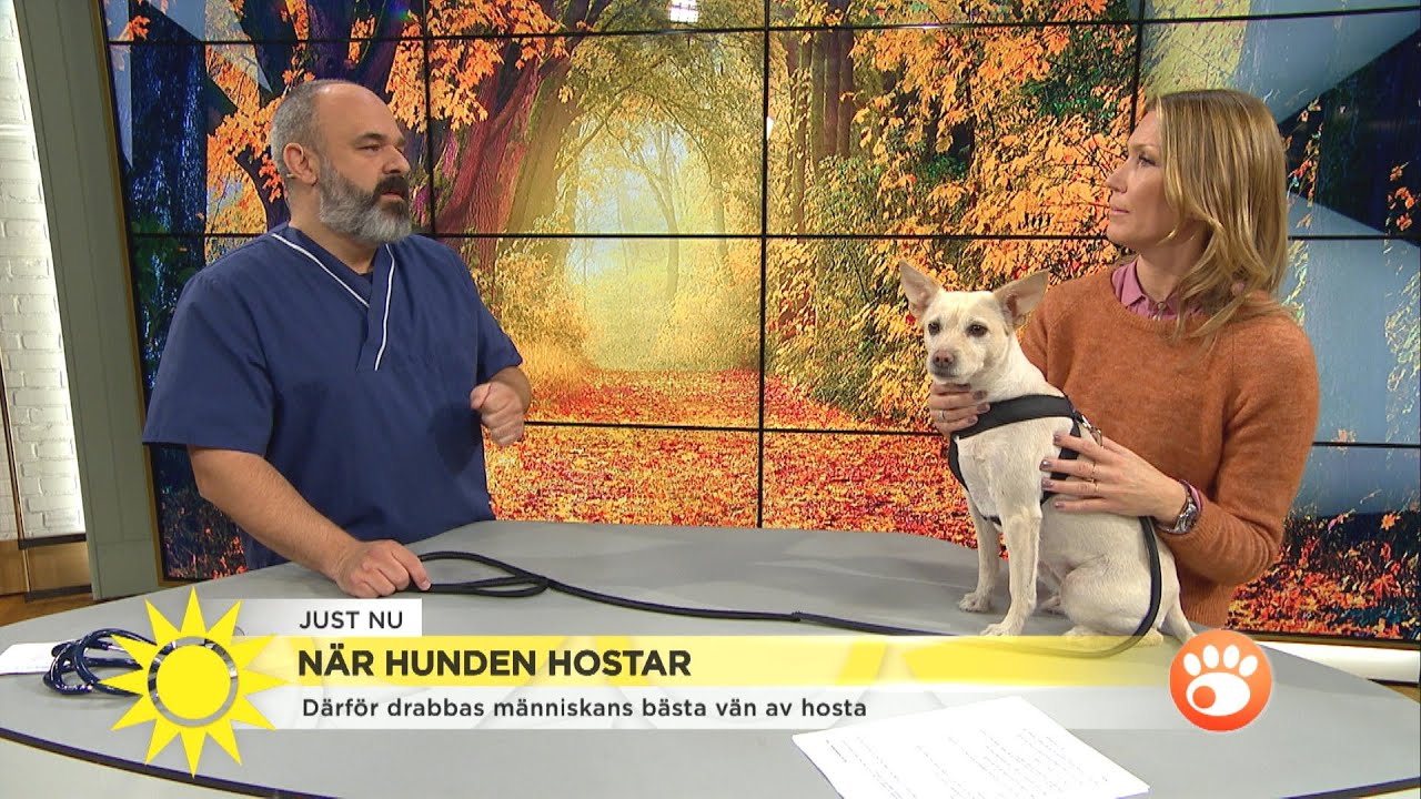 Veterin&auml;r Christophe Bujon: 