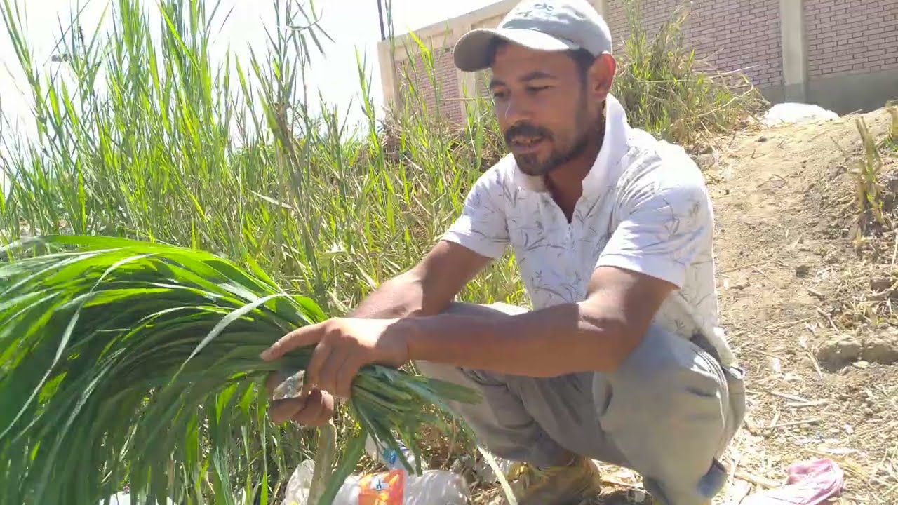 طريقه عمل الدور النسيله 👌 🎣